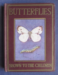 Butterflies and Moths Shown to the Children
